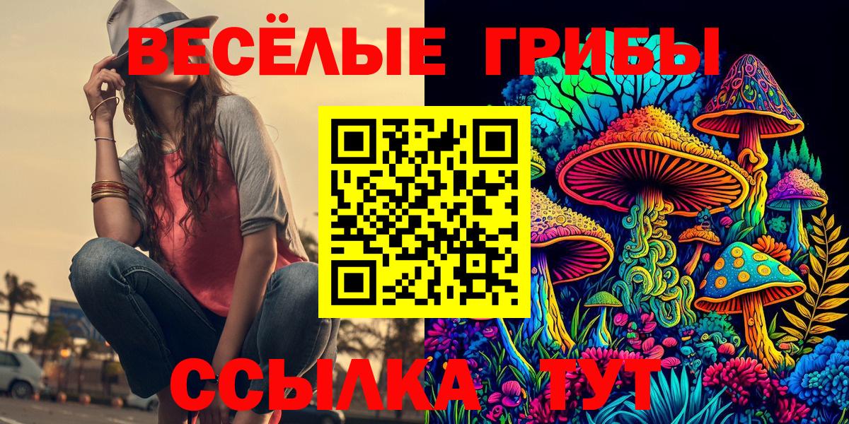 Псилоцибиновые грибы GOLDEN TEACHER  Вход с VPN  Озёрск  Галлюциногенные грибы ЛСД 