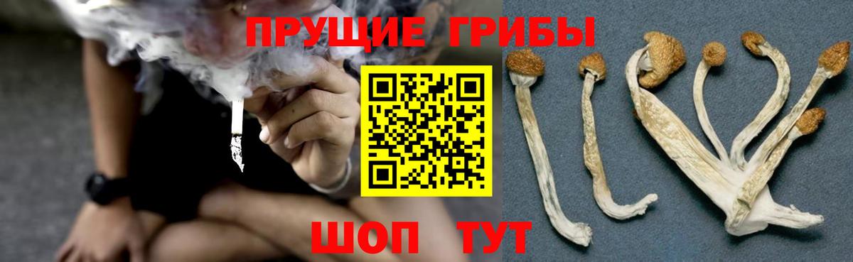 Галлюциногенные грибы GOLDEN TEACHER Озёрск